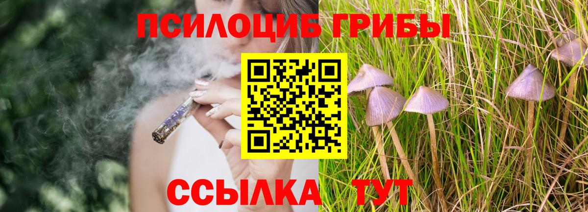 Галлюциногенные грибы Psilocybe Нефтеюганск
