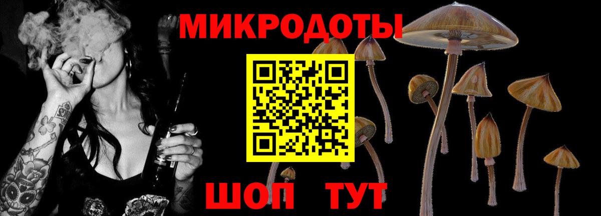 Псилоцибиновые грибы MAGIC MUSHROOMS  Галлюциногенные грибы Cubensis  Нефтеюганск  Вход с VPN 